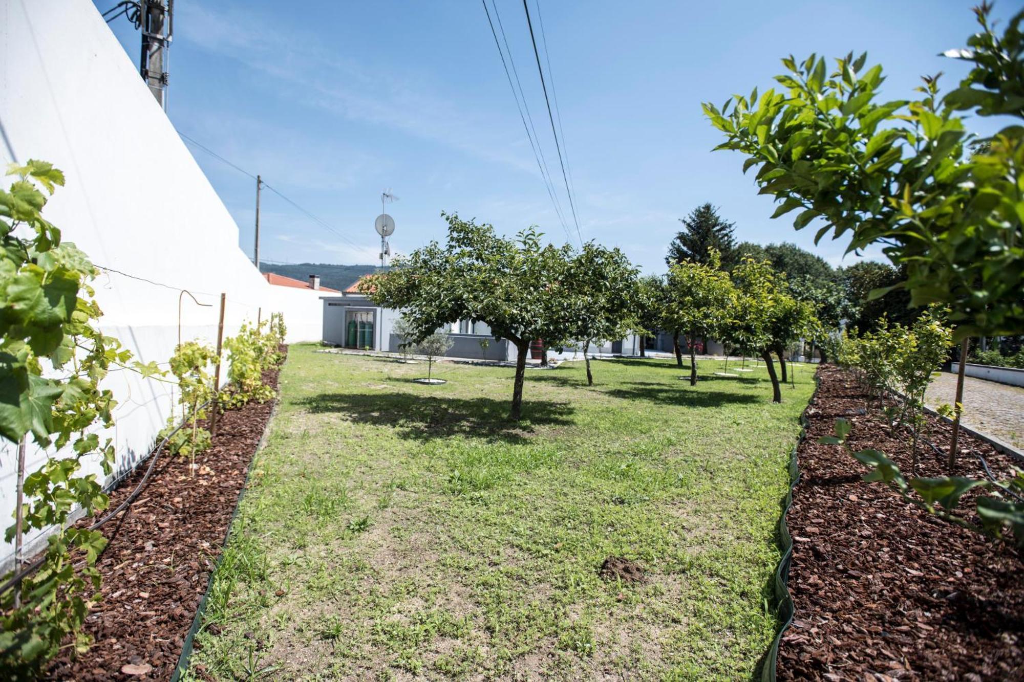 הוילה Briteiros Quinta Do Pomar Pomar Farm מראה חיצוני תמונה